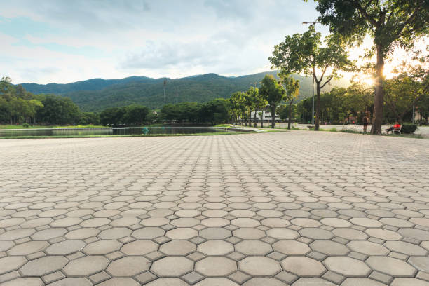 Best Professional Driveway Pavers  in Corcoran, CA